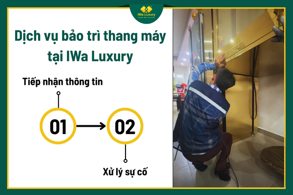 Dịch vụ bảo trì thang máy tại IWa Luxury.